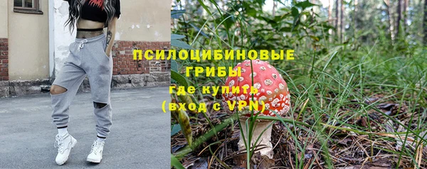 ПСИЛОЦИБИНОВЫЕ ГРИБЫ Алексин