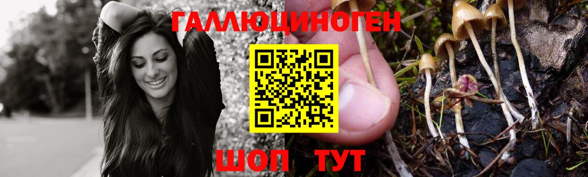 Каннабис  НБОМе  Тамбов  Alpha PVP СК кристаллы  Гашиш  КОКАИН  Меф кристаллы  Вход с VPN  МДМА 